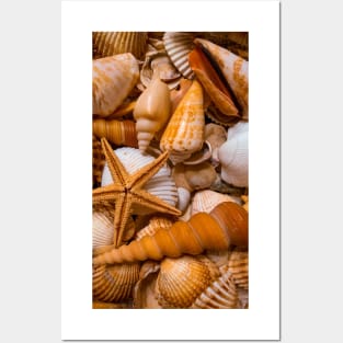 Sea Nature Meditation Yoga Seashell Beach Relax Posters and Art